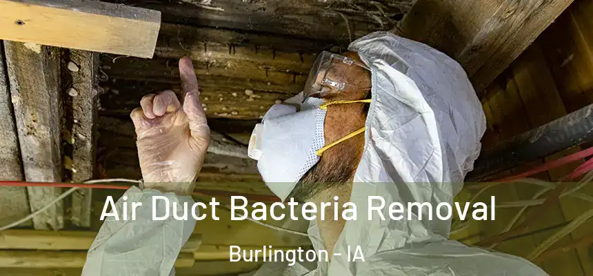  Air Duct Bacteria Removal Burlington - IA
