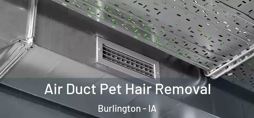 Air Duct Pet Hair Removal Burlington - IA