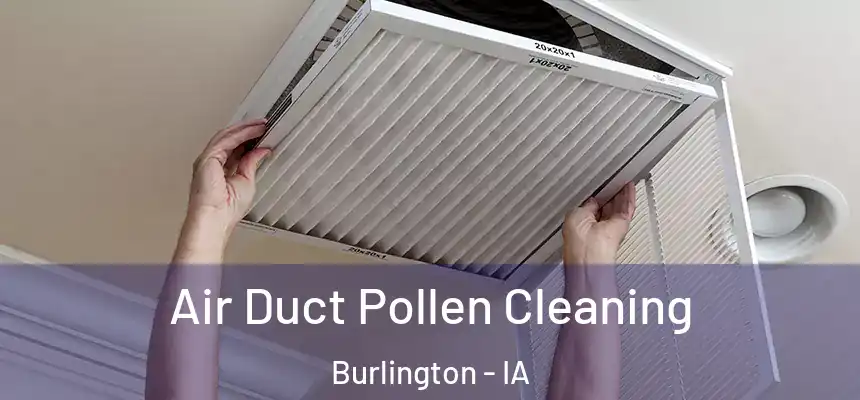 Air Duct Pollen Cleaning Burlington - IA
