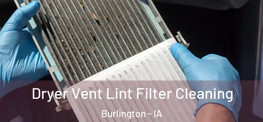  Dryer Vent Lint Filter Cleaning Burlington - IA