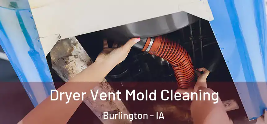  Dryer Vent Mold Cleaning Burlington - IA