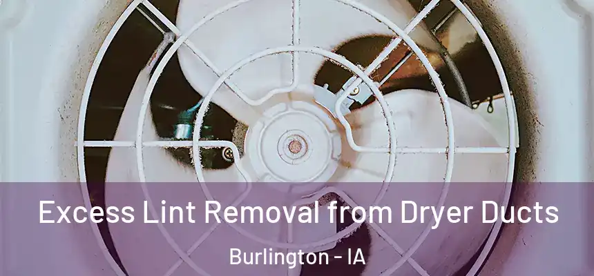  Excess Lint Removal from Dryer Ducts Burlington - IA