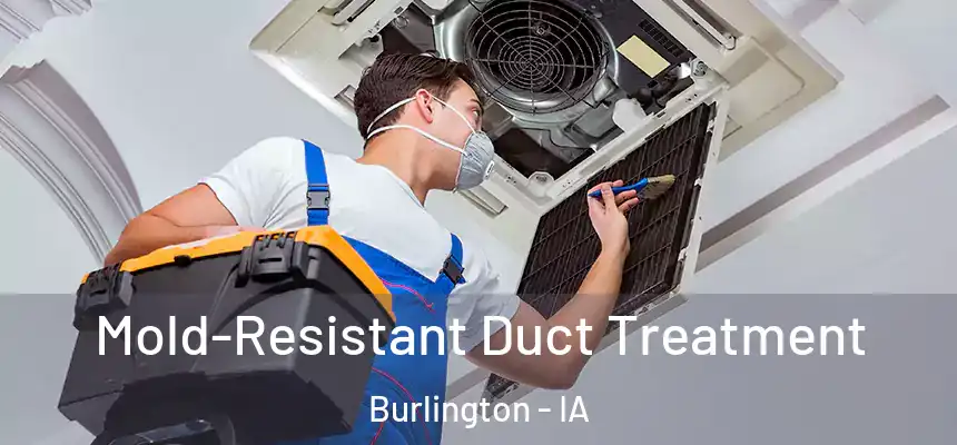  Mold-Resistant Duct Treatment Burlington - IA