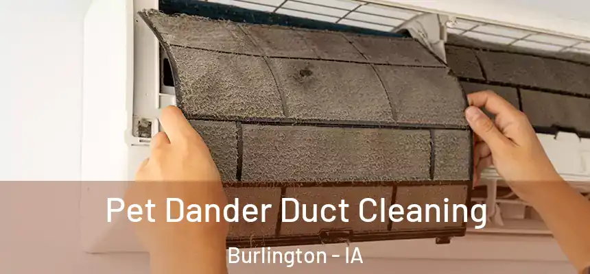 Pet Dander Duct Cleaning Burlington - IA