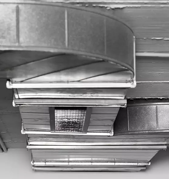 Professional Air Duct Pet Hair Removal in Burlington, IA