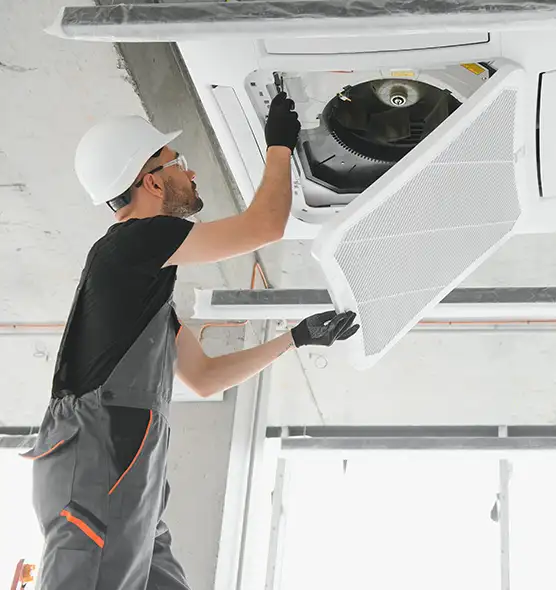 About Air Duct Rodent Removal in Burlington, IA