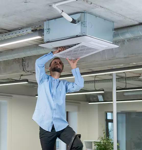 Advanced Rodent Droppings In Vents in Burlington, IA