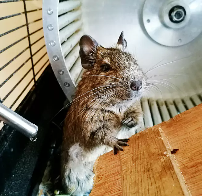 Why Homeowners & Businesses Trust Us Burlington, IA