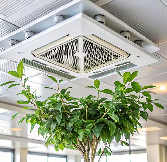 Why Homeowners & Businesses Trust Us in Burlington, IA?