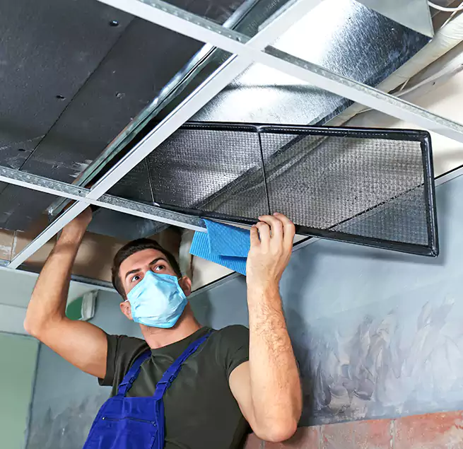 Why Homeowners Businesses Trust Us in Burlington, IA